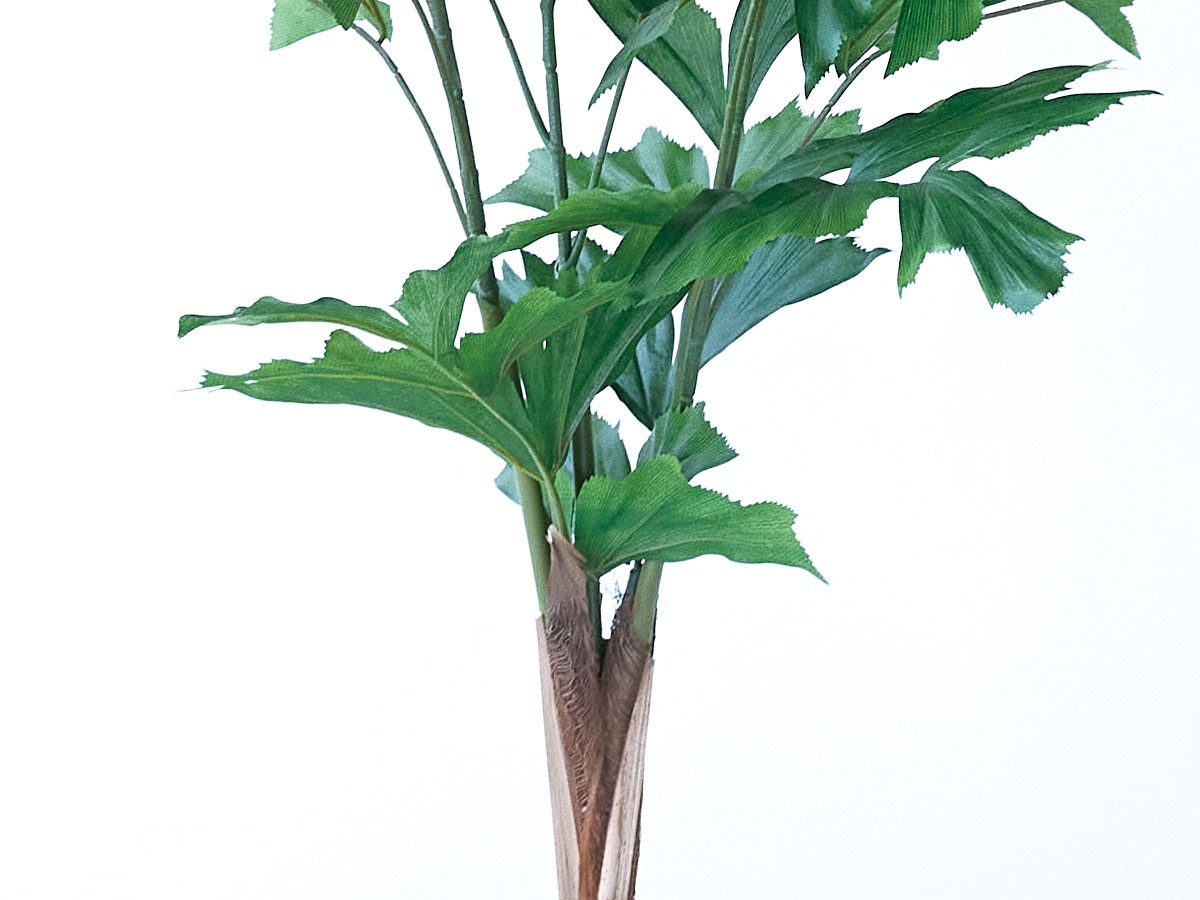 BROWN Peacock Palm Pot / ブラウン クジャクヤシ ポット 90 （花器・プランター・グリーン > フェイクグリーン・フェイクフラワー） 5