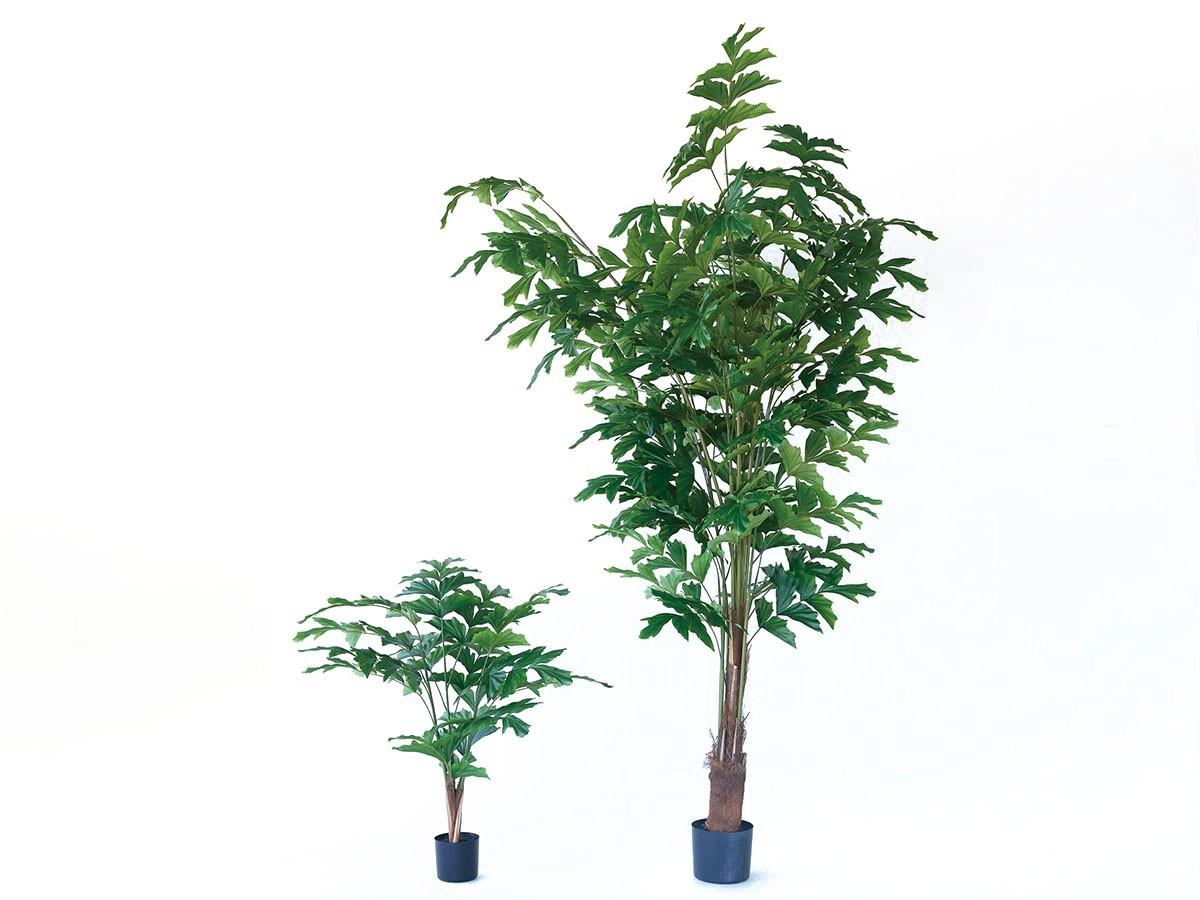 BROWN Peacock Palm Pot / ブラウン クジャクヤシ ポット 90 （花器・プランター・グリーン > フェイクグリーン・フェイクフラワー） 2