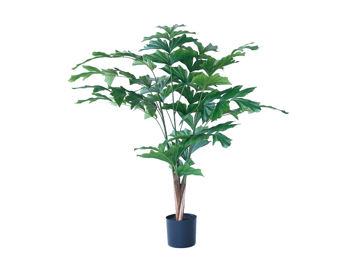 BROWN Peacock Palm Pot