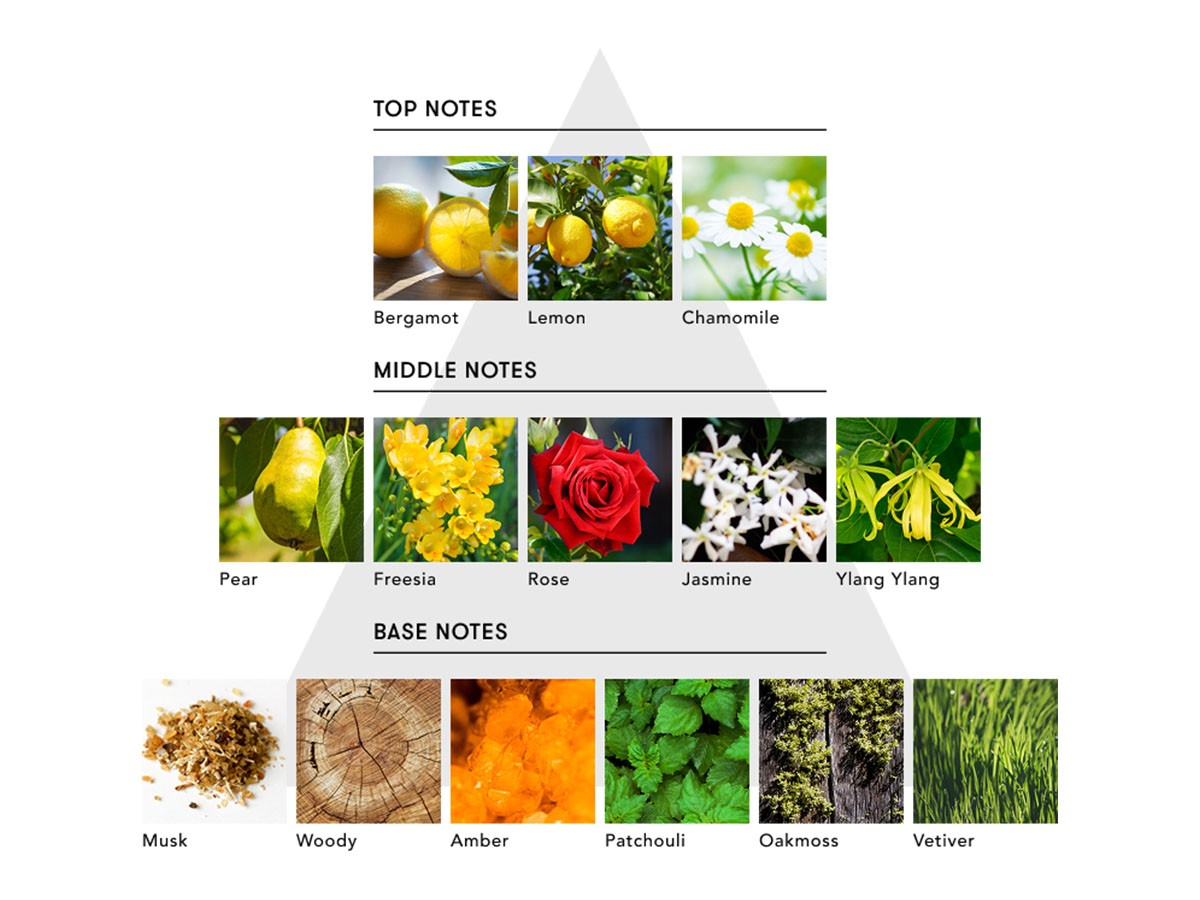 SINN PURETE MINDFUL REED DIFFUSER / シンピュルテ マインドフル リード ディフューザー
REST OF MIND / 心の休息 （インテリア雑貨 > ルームフレグランス） 7