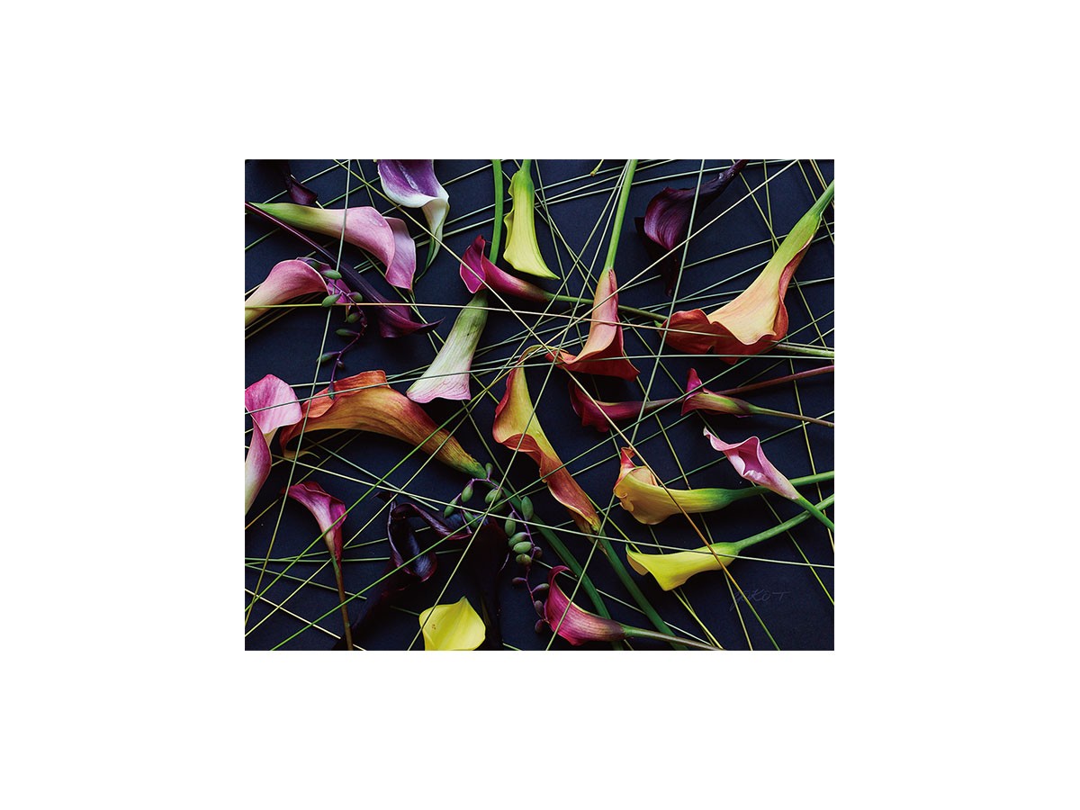 Geometric Scrumble Calla