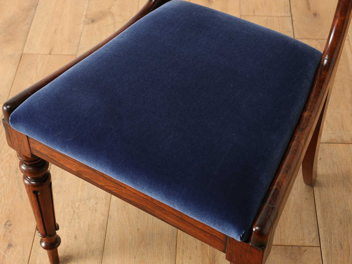 Lloyd's Antiques Real Antique Regency Chair / ロイズ・アンティーク