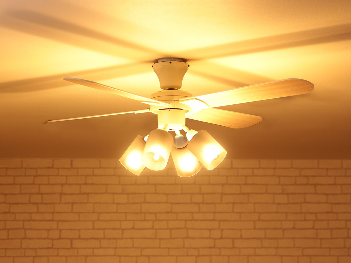 FLYMEe Parlor Ceiling Fan / フライミーパーラー シーリングファン