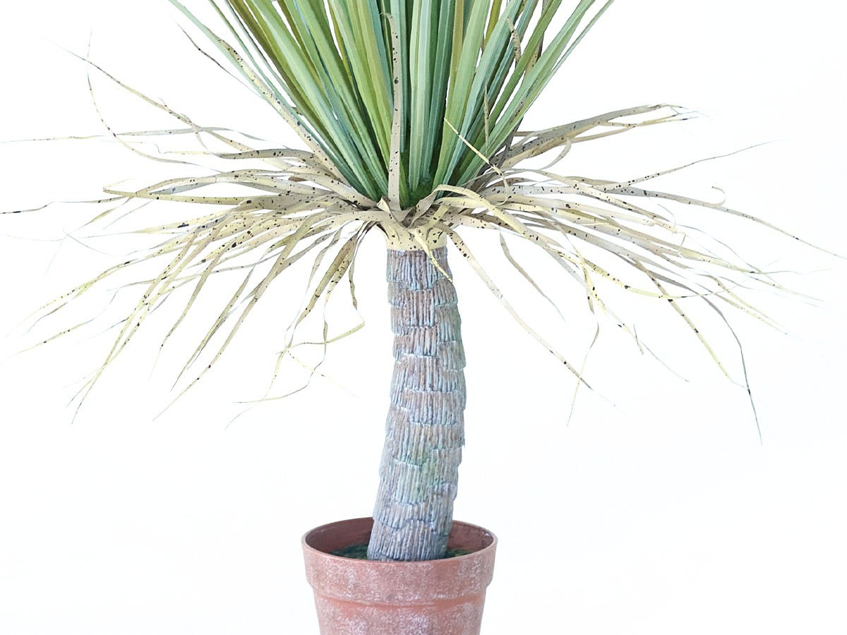 BROWN Yucca Pot / ブラウン ユッカ  ポット 85 （花器・プランター・グリーン > フェイクグリーン・フェイクフラワー） 4