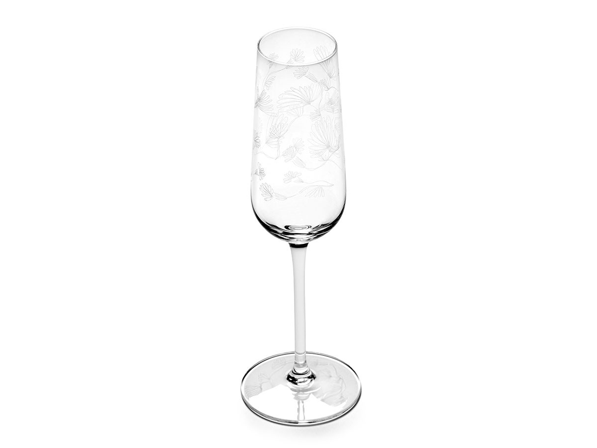 MIDNIGHT FLOWERS by MARNI
Champagne Flute Camelia Aubergine / ミッドナイトフラワーズ バイ マルニ
シャンパンフルート カメリアオーバージーン （食器・テーブルウェア > ワイングラス・シャンパングラス） 3