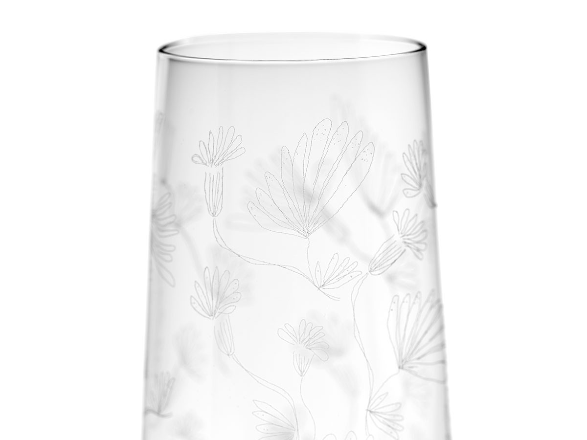 MIDNIGHT FLOWERS by MARNI
Champagne Flute Camelia Aubergine / ミッドナイトフラワーズ バイ マルニ
シャンパンフルート カメリアオーバージーン （食器・テーブルウェア > ワイングラス・シャンパングラス） 4