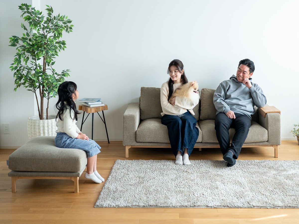 Fumi 飽きないソファ / フミ 飽きないソファ （ソファ > 二人掛けソファ） 23