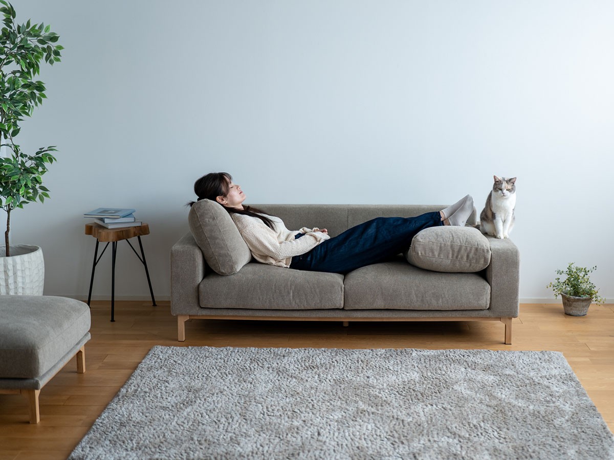 Fumi 飽きないソファ / フミ 飽きないソファ （ソファ > 二人掛けソファ） 20