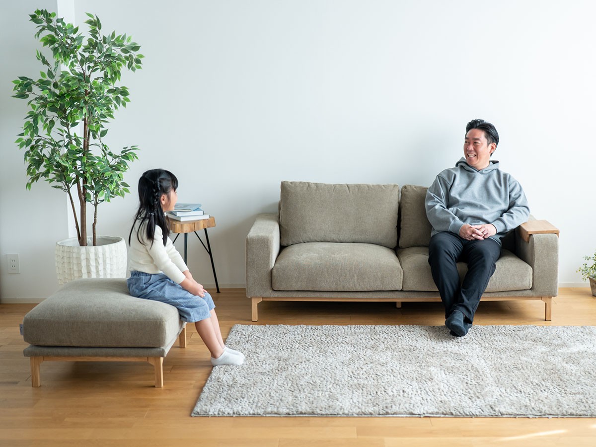 Fumi 飽きないソファ / フミ 飽きないソファ （ソファ > 二人掛けソファ） 22