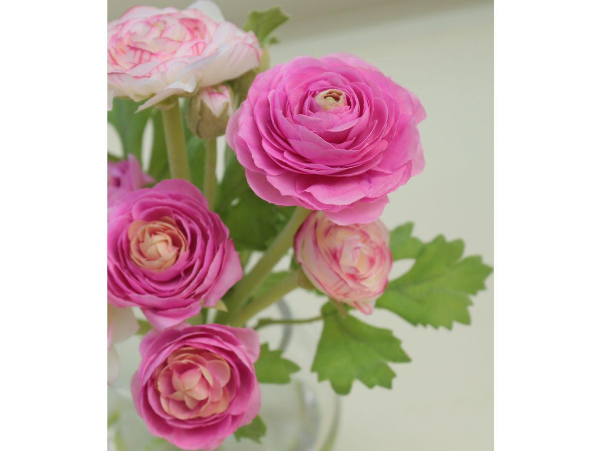 EMILIO ROBBA RANUNCULUS / エミリオロバ ラナンキュラス #101695 （花器・プランター・グリーン > フェイクグリーン・フェイクフラワー） 6