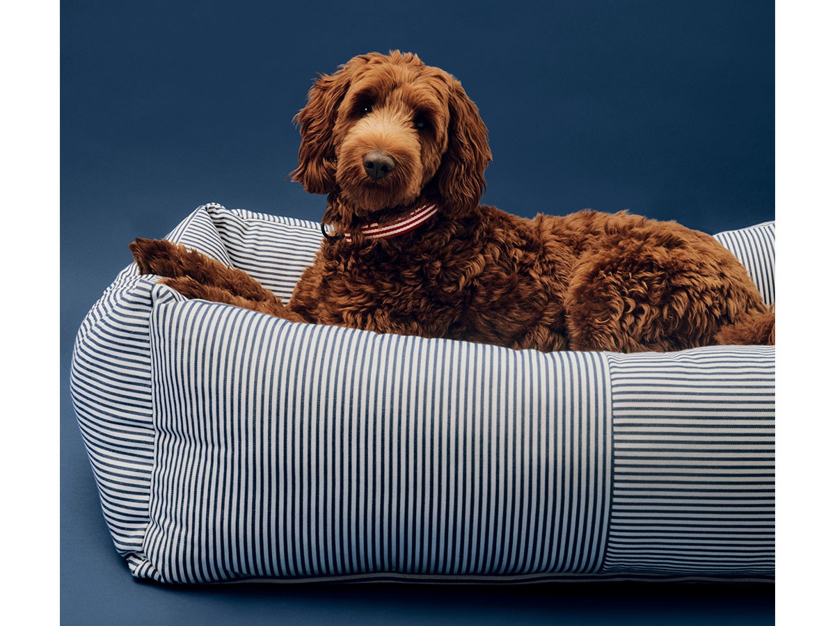HAY HAY DOGS BY HOLLY GOLIGHTLY
DOGS BED ZIP LARGE / ヘイ ヘイ ドッグ コレクション
ドッグベッド ジップ L（ブルー & ホワイトストライプ） （インテリア雑貨 > ペット用品） 6