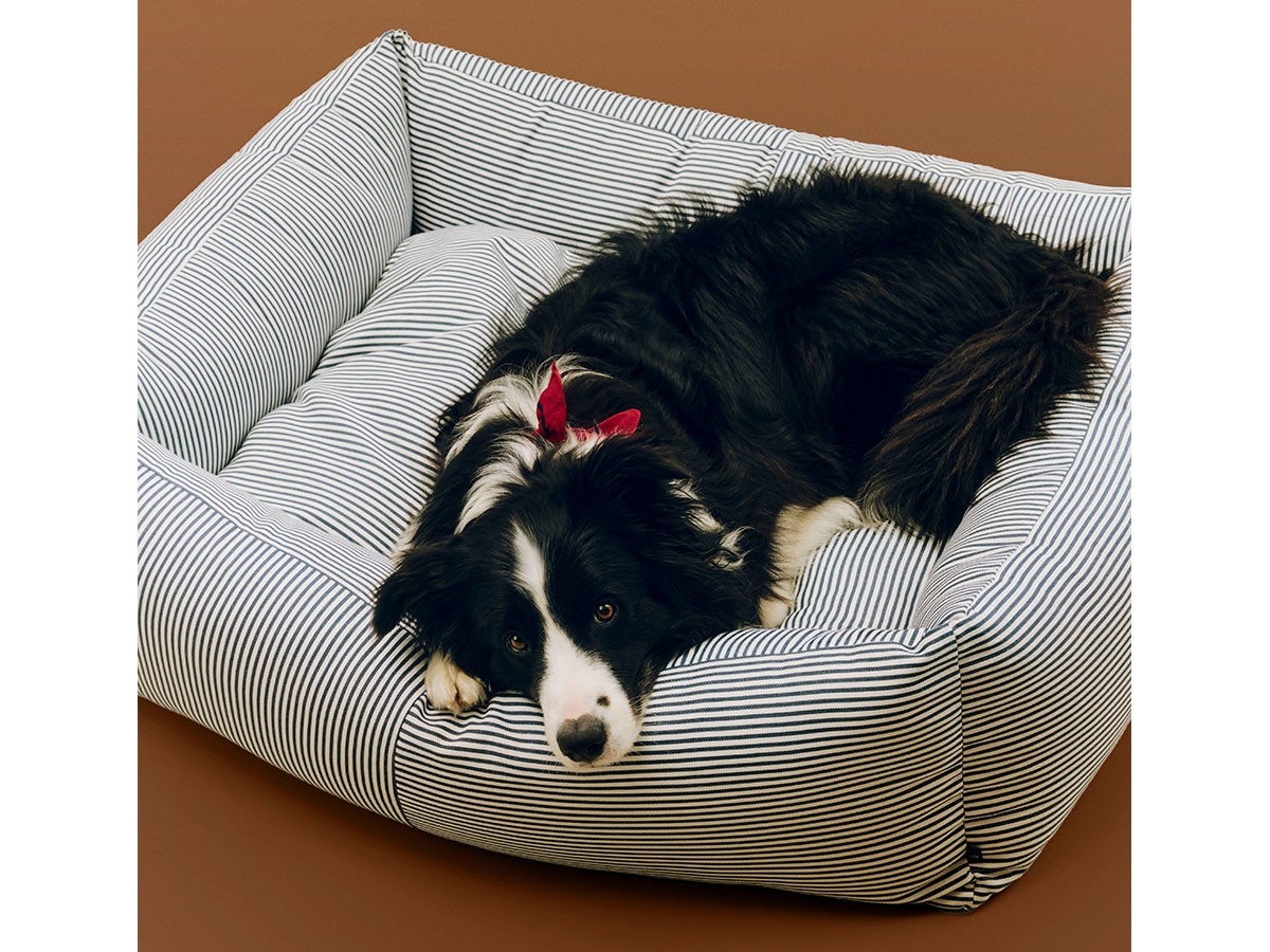 HAY HAY DOGS BY HOLLY GOLIGHTLY
DOGS BED ZIP LARGE / ヘイ ヘイ ドッグ コレクション
ドッグベッド ジップ L（ブルー & ホワイトストライプ） （インテリア雑貨 > ペット用品） 4