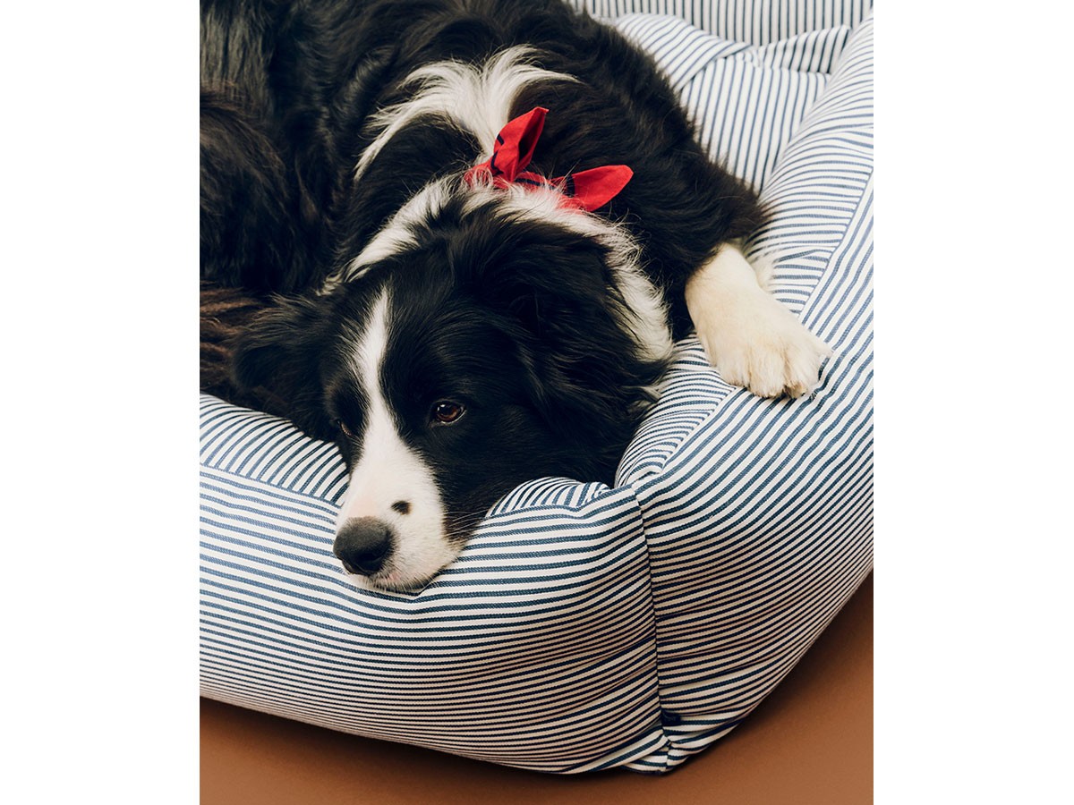 HAY HAY DOGS BY HOLLY GOLIGHTLY
DOGS BED ZIP LARGE / ヘイ ヘイ ドッグ コレクション
ドッグベッド ジップ L（ブルー & ホワイトストライプ） （インテリア雑貨 > ペット用品） 5