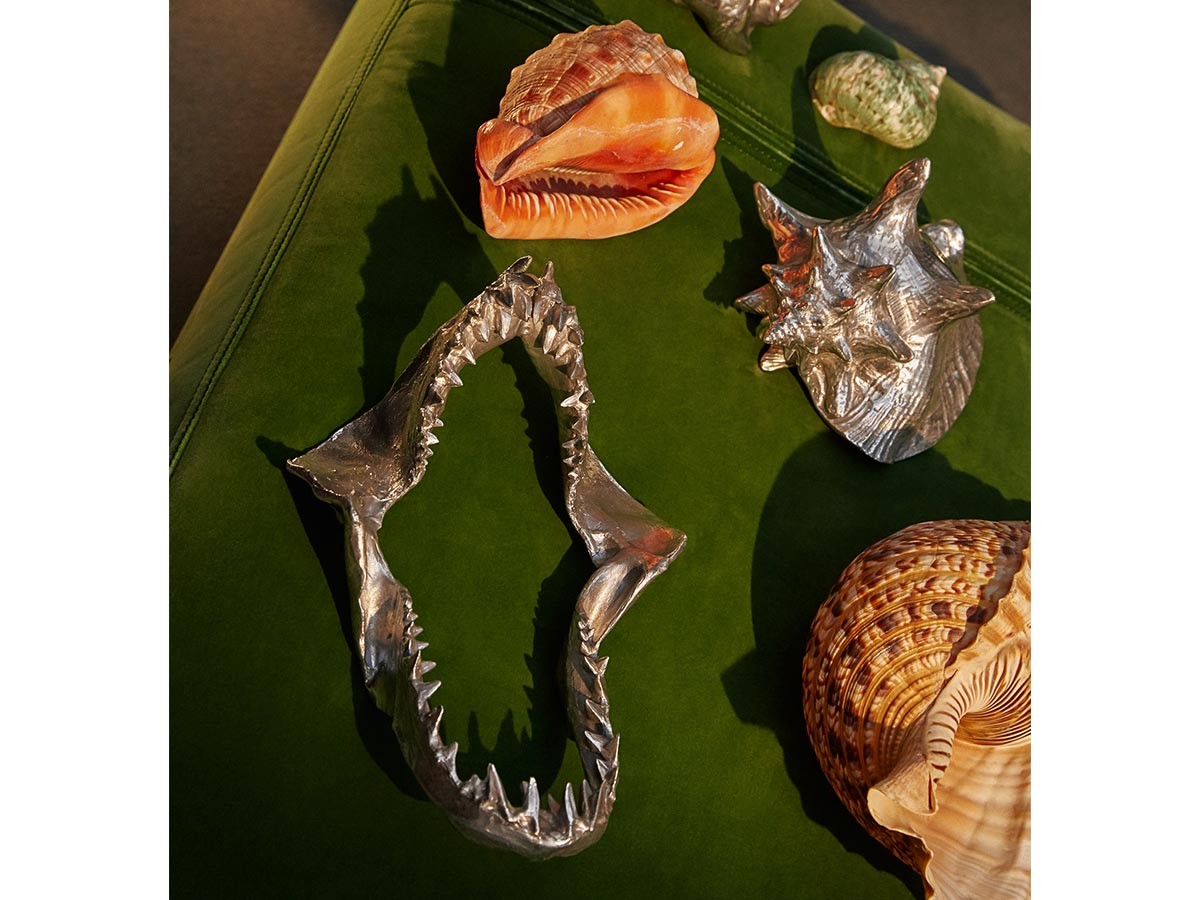 DIESEL LIVING with SELETTI WUNDERKAMMER
SHARK JAW - BITE FOR YOUR RIGHT / ディーゼルリビング ウィズ セレッティ ワンダーカマー
シャーク ジョー （オブジェ・アート > オブジェ） 2