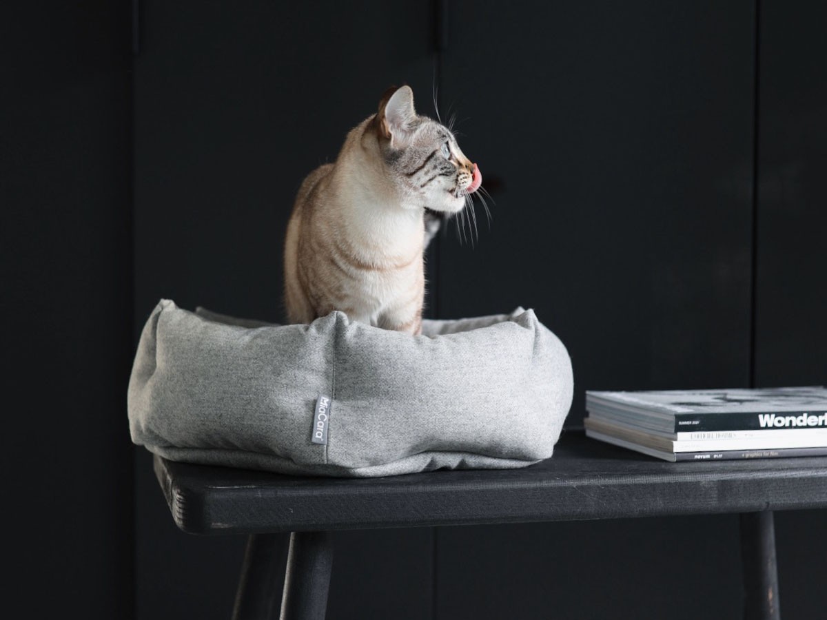 MiaCara Calma Cat Bed / ミアカラ カルマ キャットベッド （雑貨・その他インテリア家具 > ペット用品・家具） 6