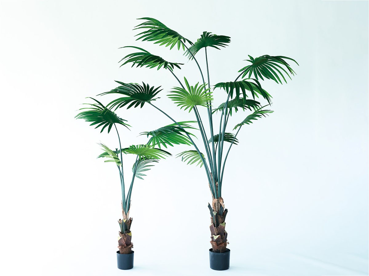 BROWN Rhapis humilis Pot / ブラウン シュロチク ポット 180 （花器・プランター・グリーン > フェイクグリーン・フェイクフラワー） 6