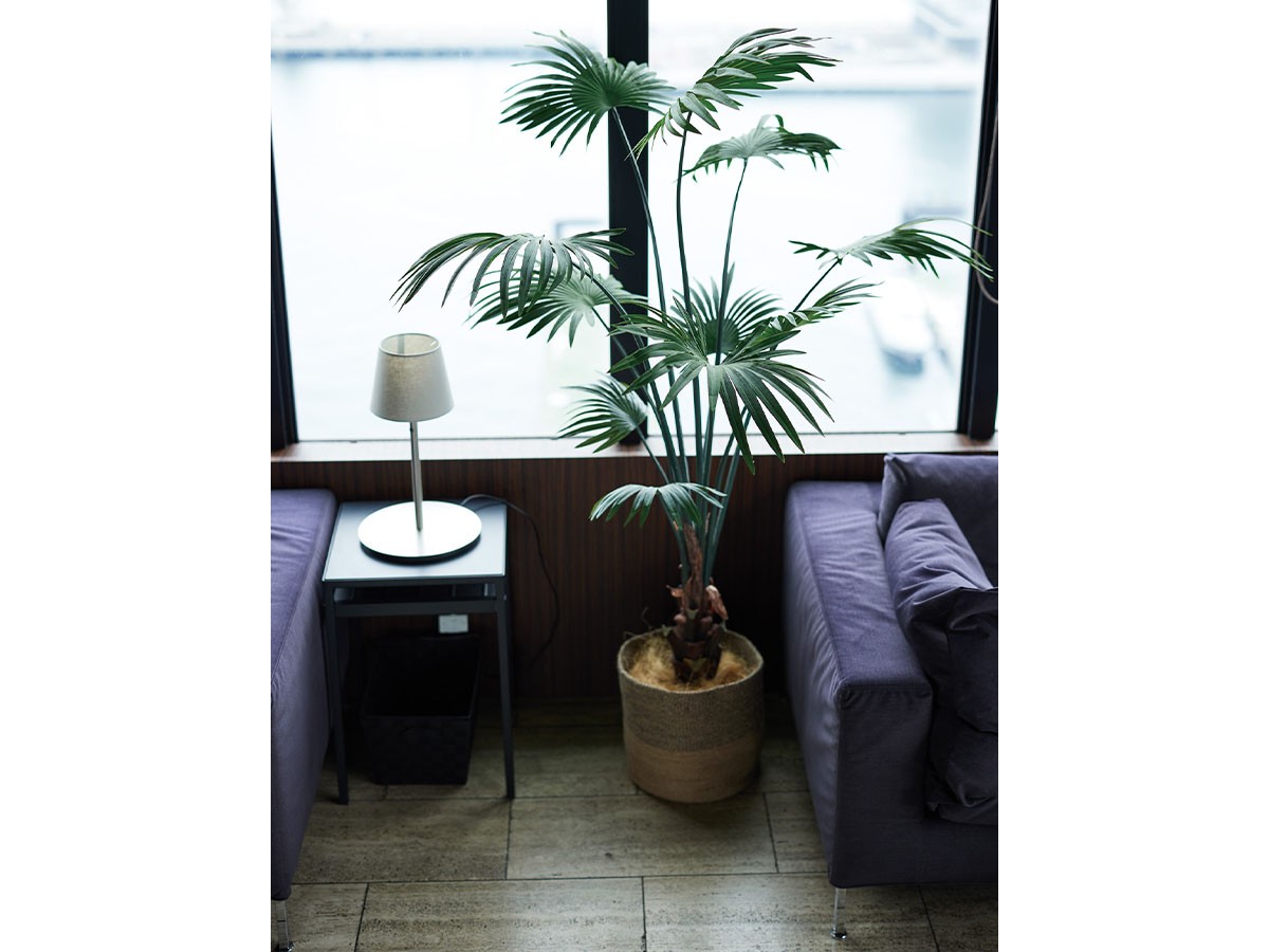 BROWN Rhapis humilis Pot / ブラウン シュロチク ポット 180 （花器・プランター・グリーン > フェイクグリーン・フェイクフラワー） 2