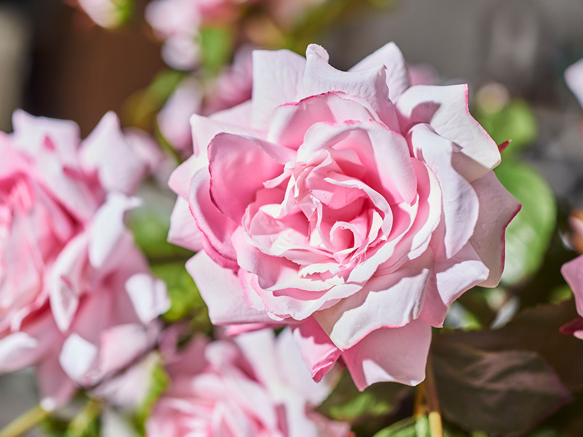 EMILIO ROBBA PRIMA ROSE / エミリオロバ プリマローズ #101688 （花器・プランター・グリーン > フェイクグリーン・フェイクフラワー） 8