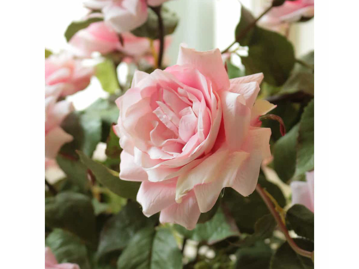 EMILIO ROBBA PRIMA ROSE / エミリオロバ プリマローズ #101688 （花器・プランター・グリーン > フェイクグリーン・フェイクフラワー） 7