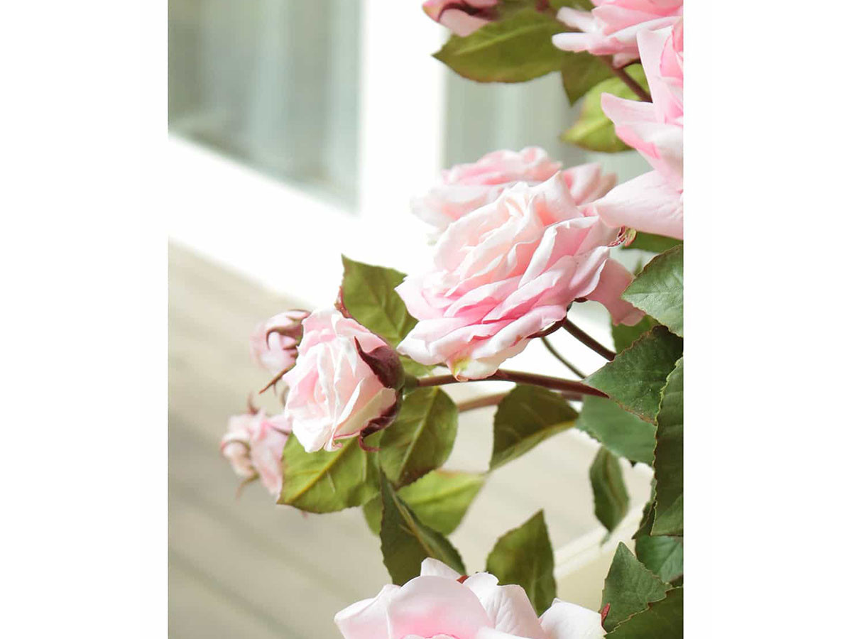 EMILIO ROBBA PRIMA ROSE / エミリオロバ プリマローズ #101688 （花器・プランター・グリーン > フェイクグリーン・フェイクフラワー） 5