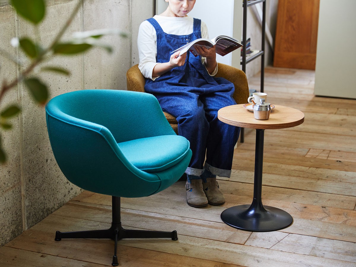 SWITCH Forge Lounge Chair / スウィッチ フォージ ラウンジチェア （チェア・椅子 > ラウンジチェア） 6