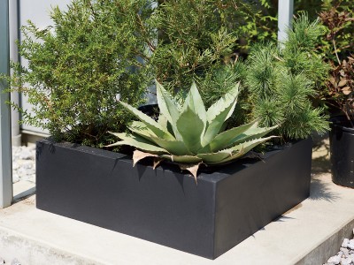 ④sara コントン マグナス アーク スリム ブラック マグナス/アーク・スリム | TECTURE（テクチャー）