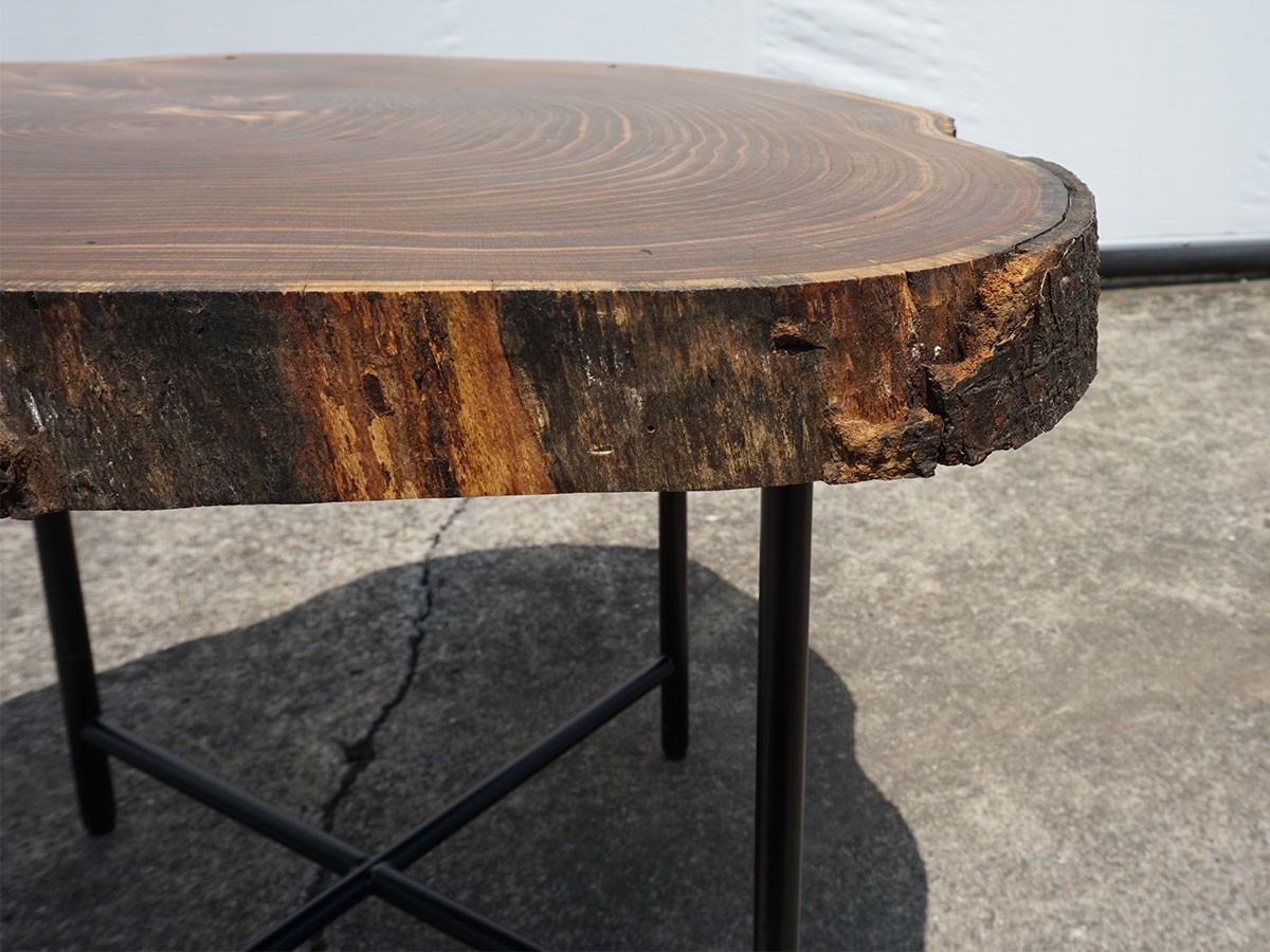 RE : Store Fixture UNITED ARROWS LTD. Growth Ring Side Table B / リ ストア フィクスチャー ユナイテッドアローズ グロウス リング サイドテーブル B （テーブル > サイドテーブル） 8