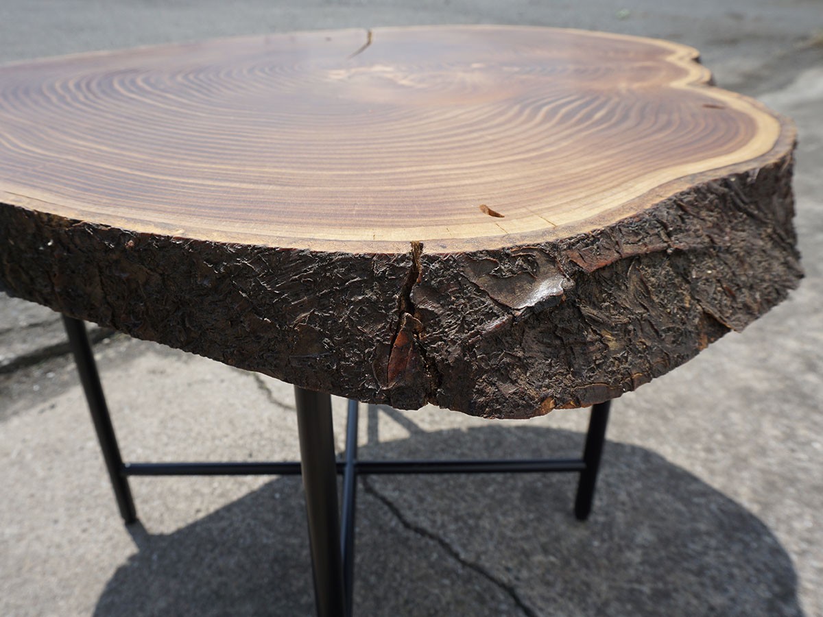 RE : Store Fixture UNITED ARROWS LTD. Growth Ring Side Table B / リ ストア フィクスチャー ユナイテッドアローズ グロウス リング サイドテーブル B （テーブル > サイドテーブル） 9