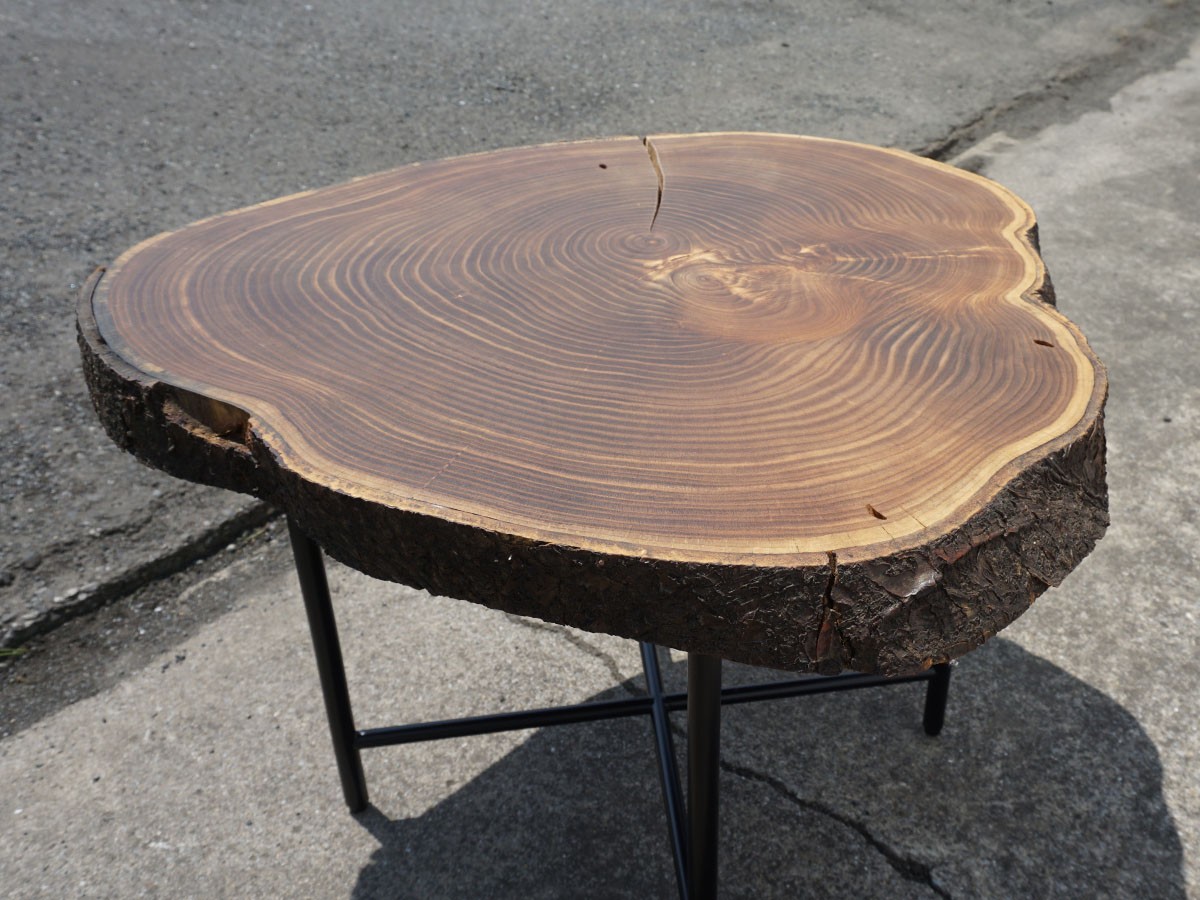 RE : Store Fixture UNITED ARROWS LTD. Growth Ring Side Table B / リ ストア フィクスチャー ユナイテッドアローズ グロウス リング サイドテーブル B （テーブル > サイドテーブル） 4