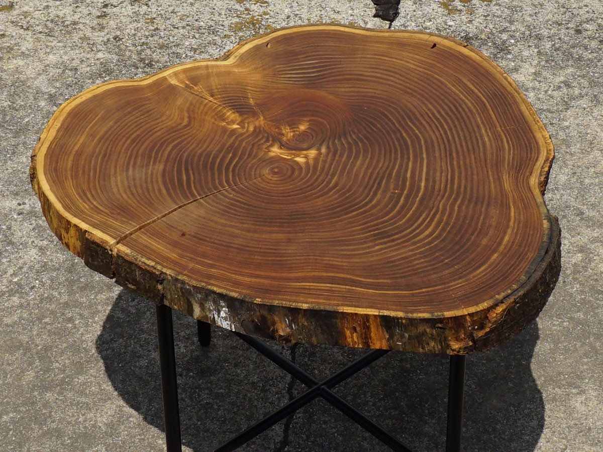 RE : Store Fixture UNITED ARROWS LTD. Growth Ring Side Table B / リ ストア フィクスチャー ユナイテッドアローズ グロウス リング サイドテーブル B （テーブル > サイドテーブル） 5
