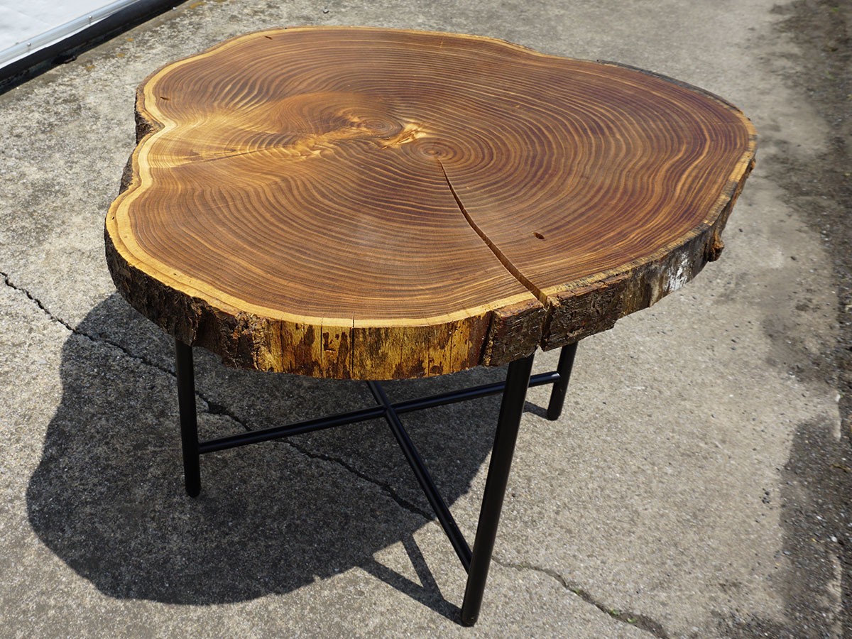 RE : Store Fixture UNITED ARROWS LTD. Growth Ring Side Table B / リ ストア フィクスチャー ユナイテッドアローズ グロウス リング サイドテーブル B （テーブル > サイドテーブル） 3