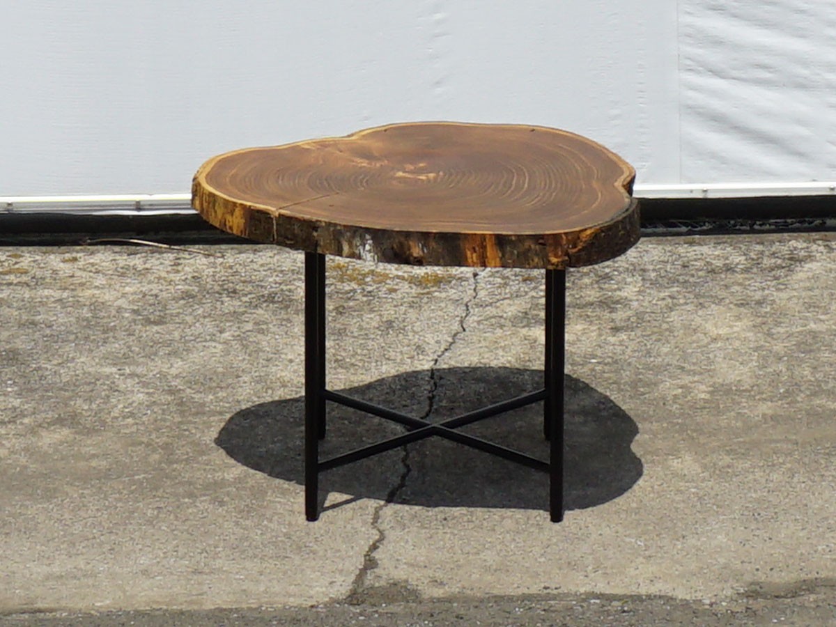 RE : Store Fixture UNITED ARROWS LTD. Growth Ring Side Table B / リ ストア フィクスチャー ユナイテッドアローズ グロウス リング サイドテーブル B （テーブル > サイドテーブル） 2