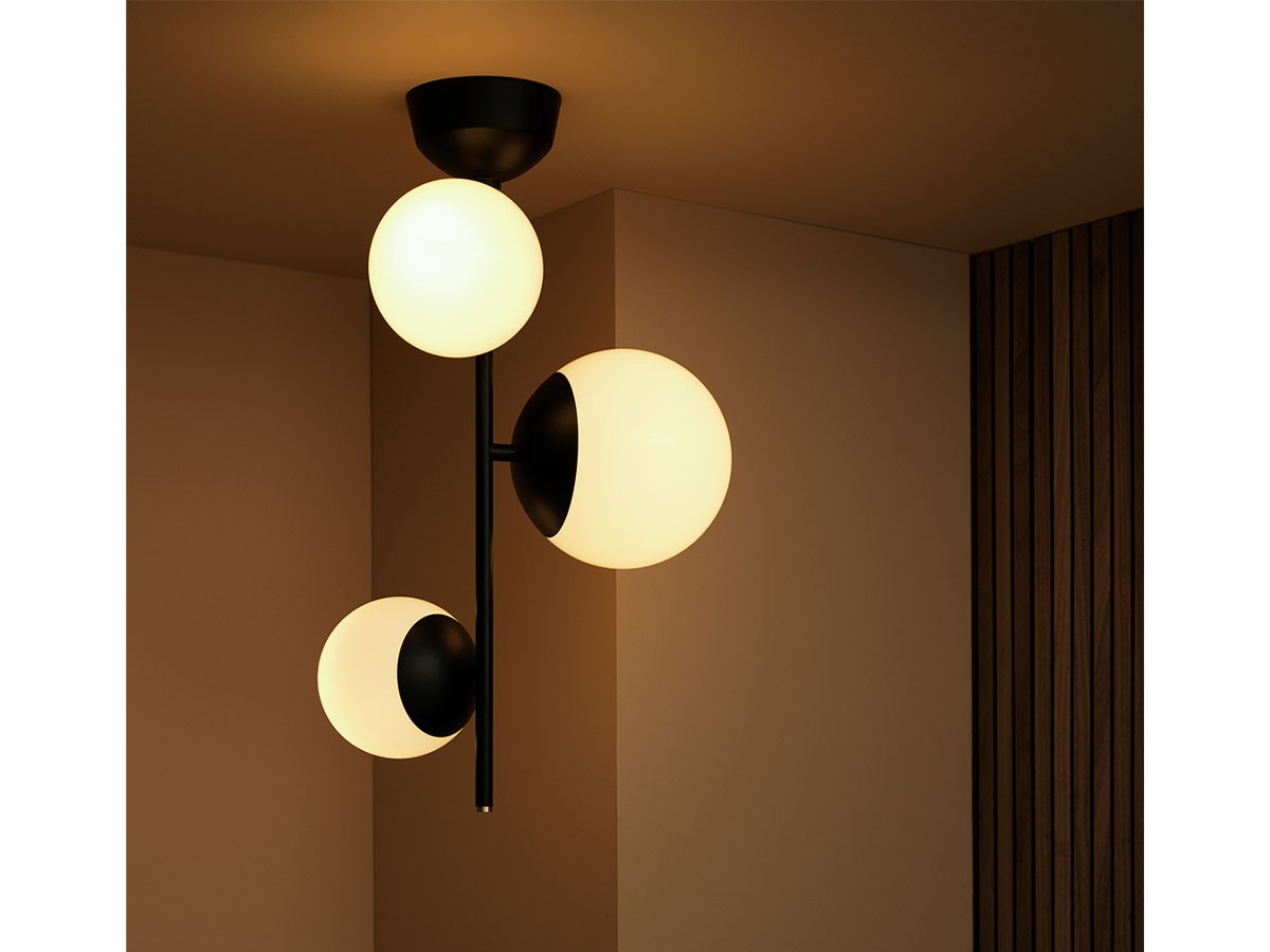 Ceiling Lamp / シーリングランプ #116834 （ライト・照明 > シーリングライト） 5