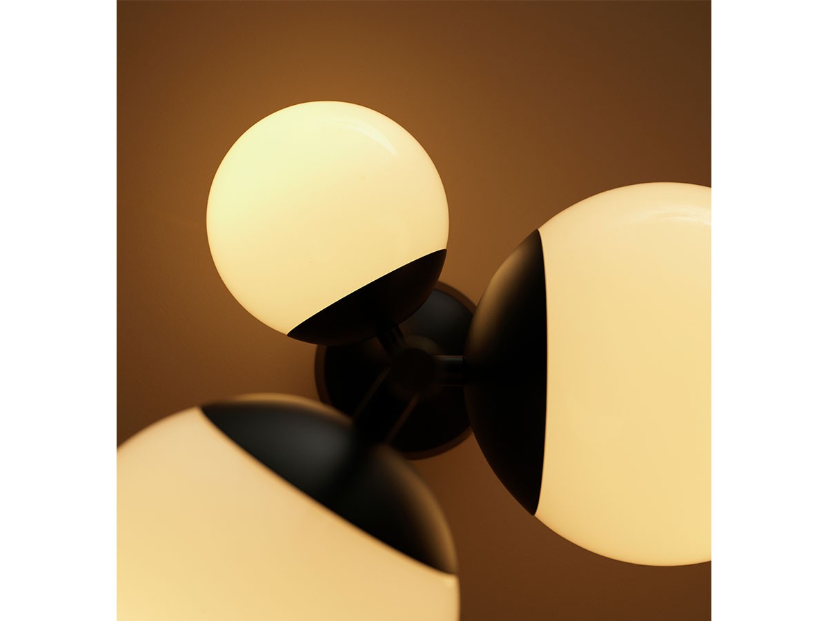 Ceiling Lamp / シーリングランプ #116834 （ライト・照明 > シーリングライト） 6