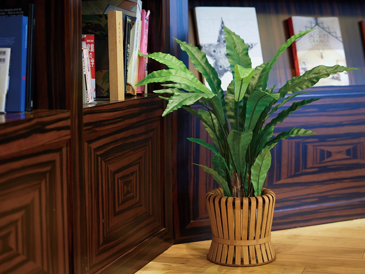BROWN Asplenium Pot / ブラウン アスプレニウム ポット 90 （花器・プランター・グリーン > フェイクグリーン・フェイクフラワー） 3