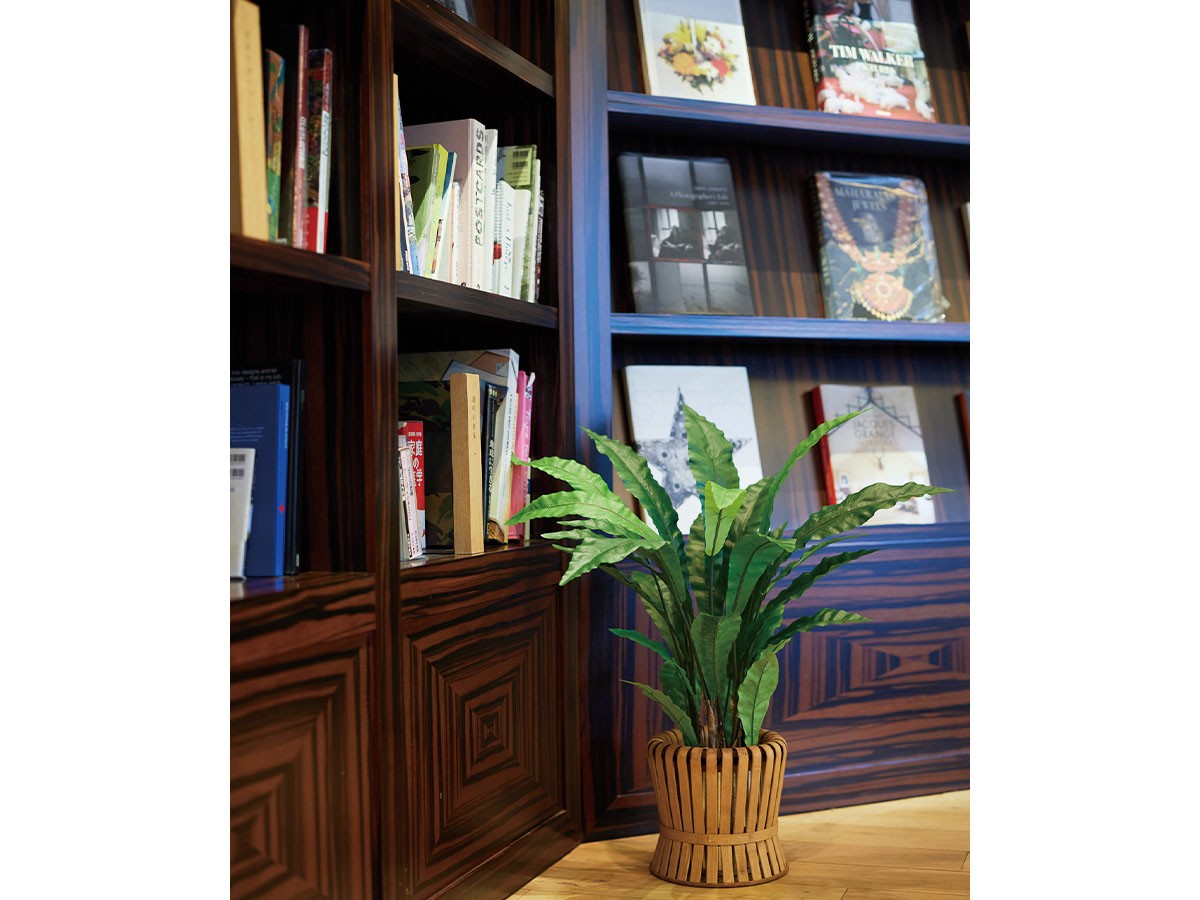 BROWN Asplenium Pot / ブラウン アスプレニウム ポット 90 （花器・プランター・グリーン > フェイクグリーン・フェイクフラワー） 2