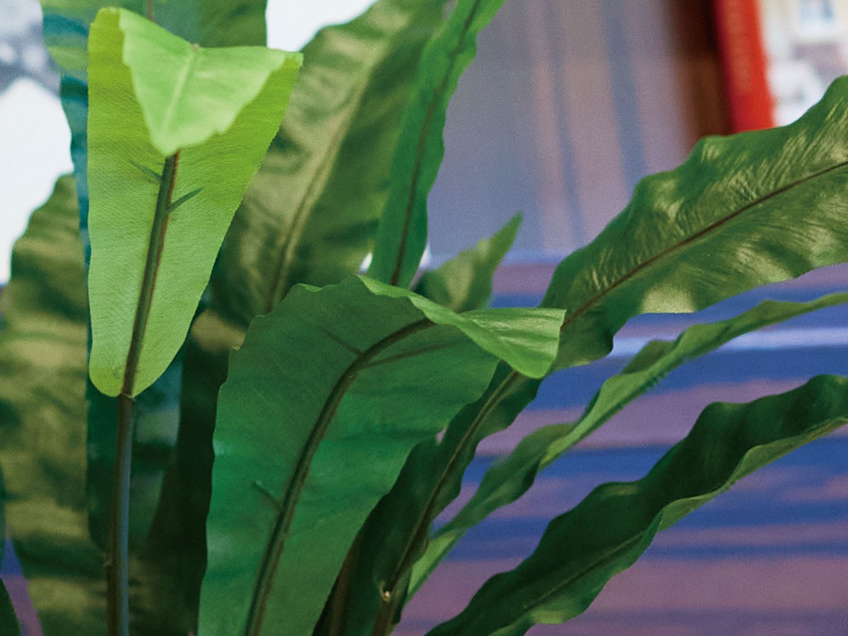 BROWN Asplenium Pot / ブラウン アスプレニウム ポット 90 （花器・プランター・グリーン > フェイクグリーン・フェイクフラワー） 5