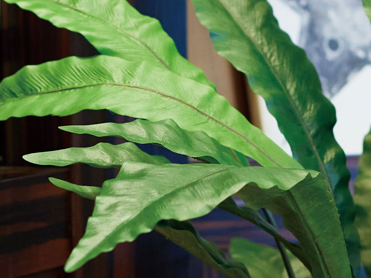 BROWN Asplenium Pot / ブラウン アスプレニウム ポット 90 （花器・プランター・グリーン > フェイクグリーン・フェイクフラワー） 4