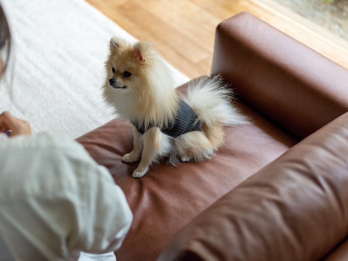 Fumi コンセントの付いたソファ +pet / フミ コンセントの付いたソファ（ペット対応生地） （ソファ > 三人掛けソファ） 9