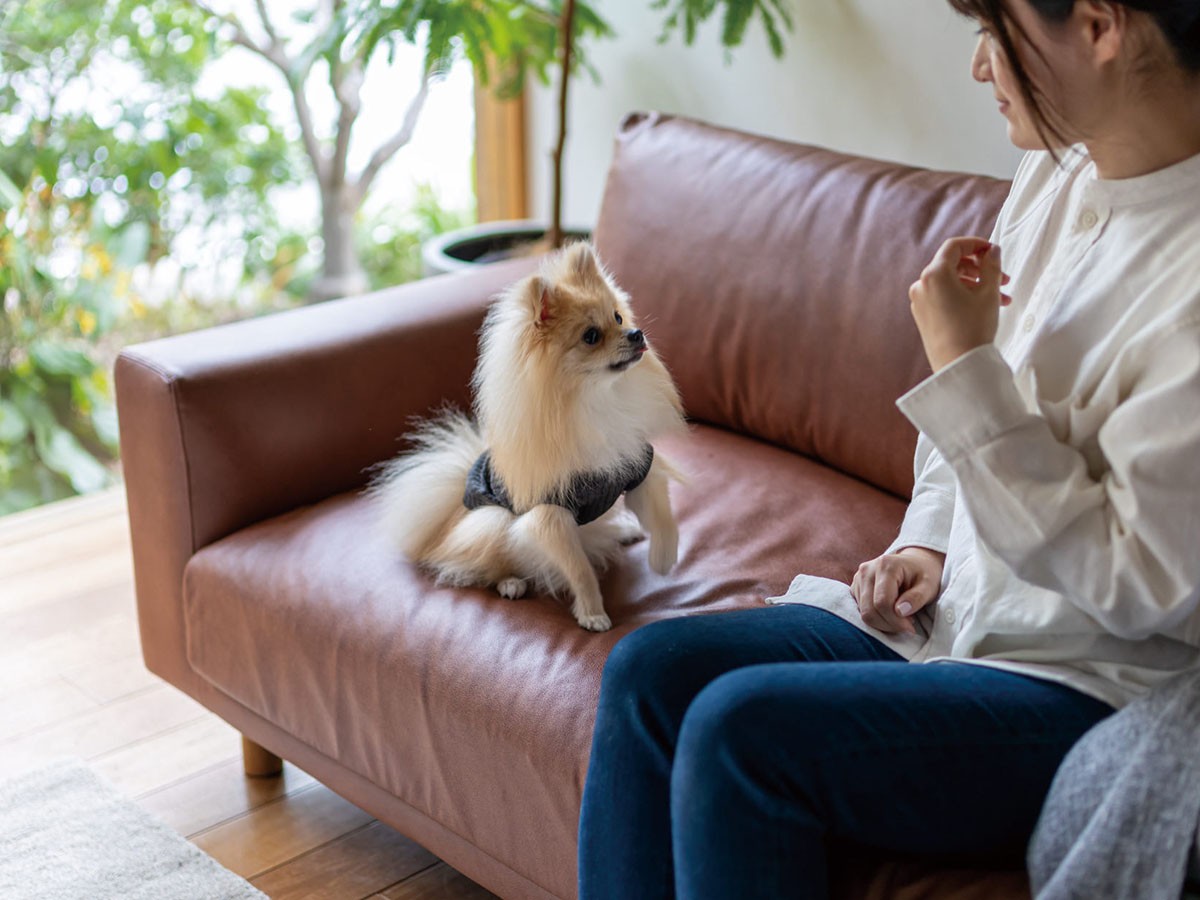 Fumi コンセントの付いたソファ +pet / フミ コンセントの付いたソファ（ペット対応生地） （ソファ > 三人掛けソファ） 8
