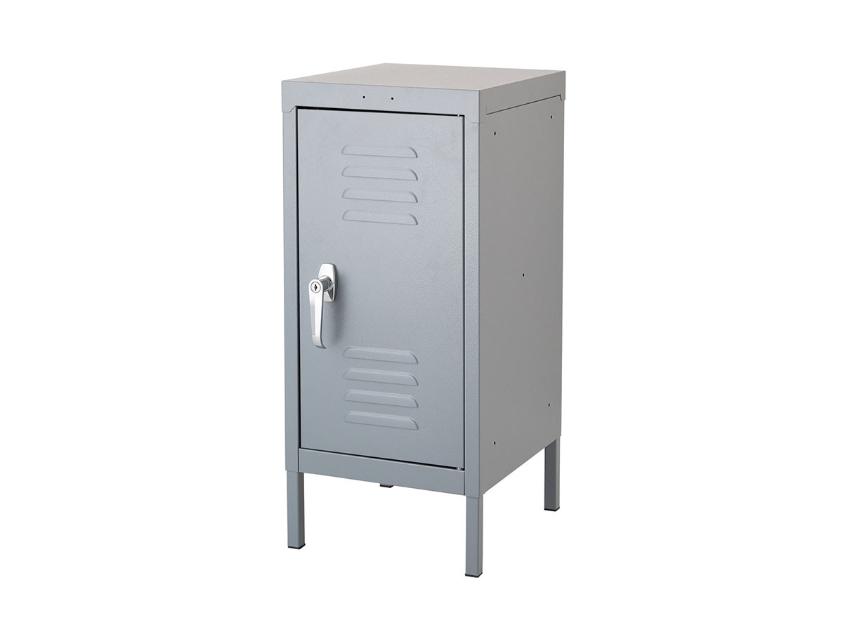 LOIRE STEEL CABINET 3