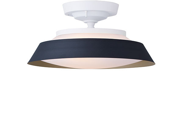 Ceiling Lamp / シーリングランプ #104813 （ライト・照明 > シーリングライト） 16