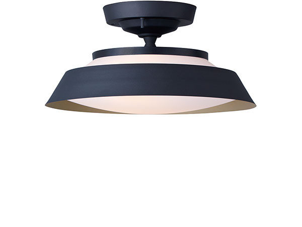 Ceiling Lamp / シーリングランプ #104813 （ライト・照明 > シーリングライト） 14