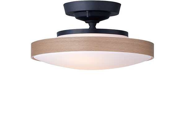 Ceiling Lamp / シーリングランプ #104813 （ライト・照明 > シーリングライト） 20