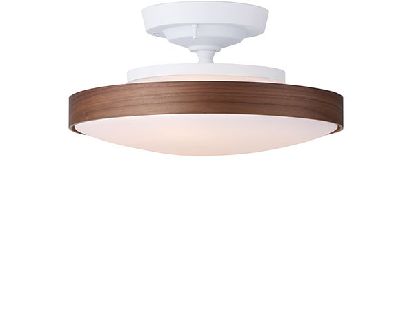 Ceiling Lamp / シーリングランプ #104813 （ライト・照明 > シーリングライト） 19