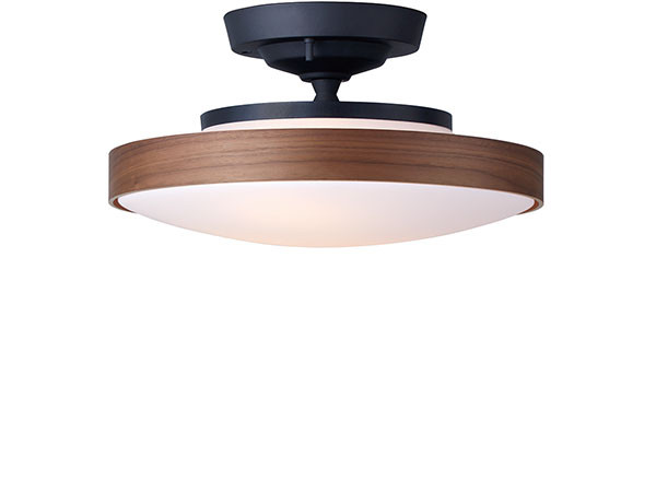 Ceiling Lamp / シーリングランプ #104813 （ライト・照明 > シーリングライト） 1