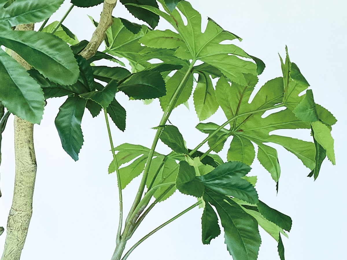 BROWN Japanese Aralia Pot / ブラウン ヤツデ ポット 190 （花器・プランター・グリーン > フェイクグリーン・フェイクフラワー） 5
