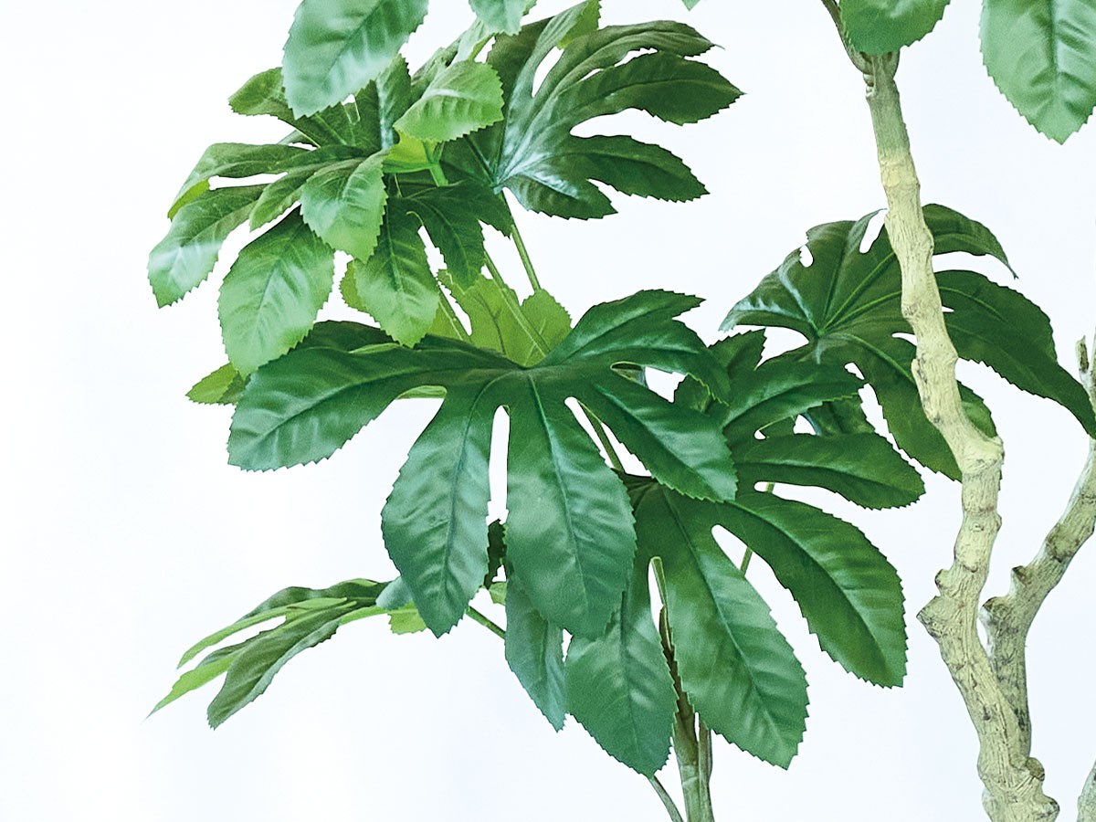 BROWN Japanese Aralia Pot / ブラウン ヤツデ ポット 190 （花器・プランター・グリーン > フェイクグリーン・フェイクフラワー） 4