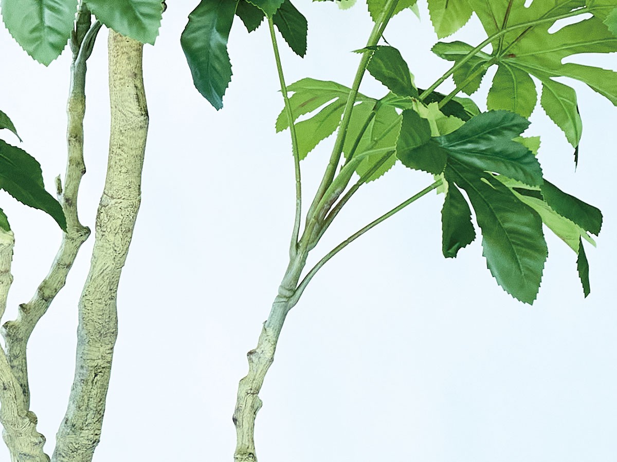 BROWN Japanese Aralia Pot / ブラウン ヤツデ ポット 190 （花器・プランター・グリーン > フェイクグリーン・フェイクフラワー） 6