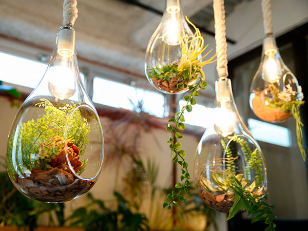 FLYMEe Parlor BOTANIC Hanging light with FAKEGREEN / フライミーパーラー ボタニック  ハンギングライト フェイクグリーン付 L / FGF